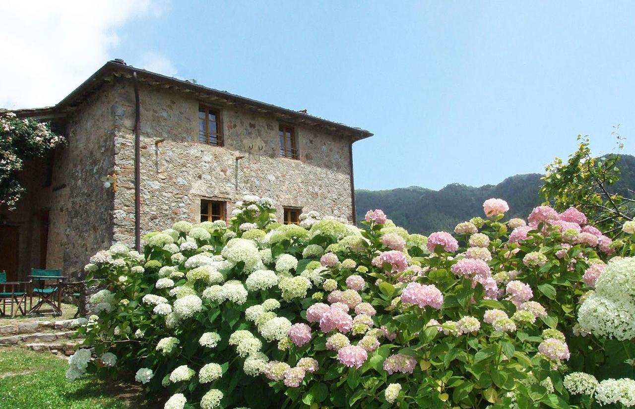 Villa Bottino By Salogi Villas San Martino in Freddana Екстериор снимка